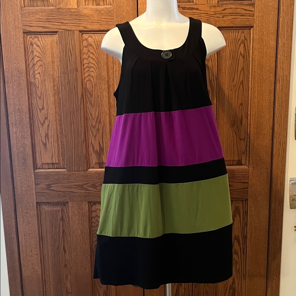 Blu Sage Colorblock Mini Dress XL